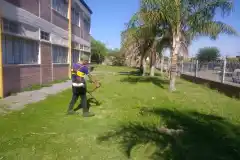 Destinan nuevos fondos para limpieza en las escuelas 