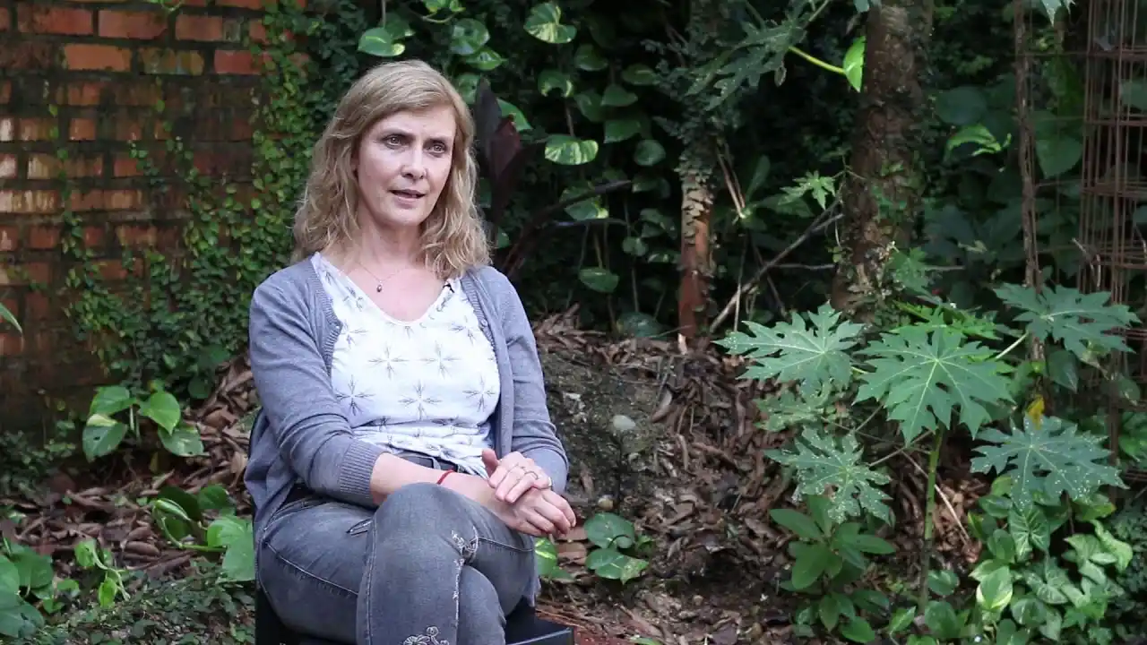 Yateí: la abeja nativa que cura, alimenta y conserva el ambiente