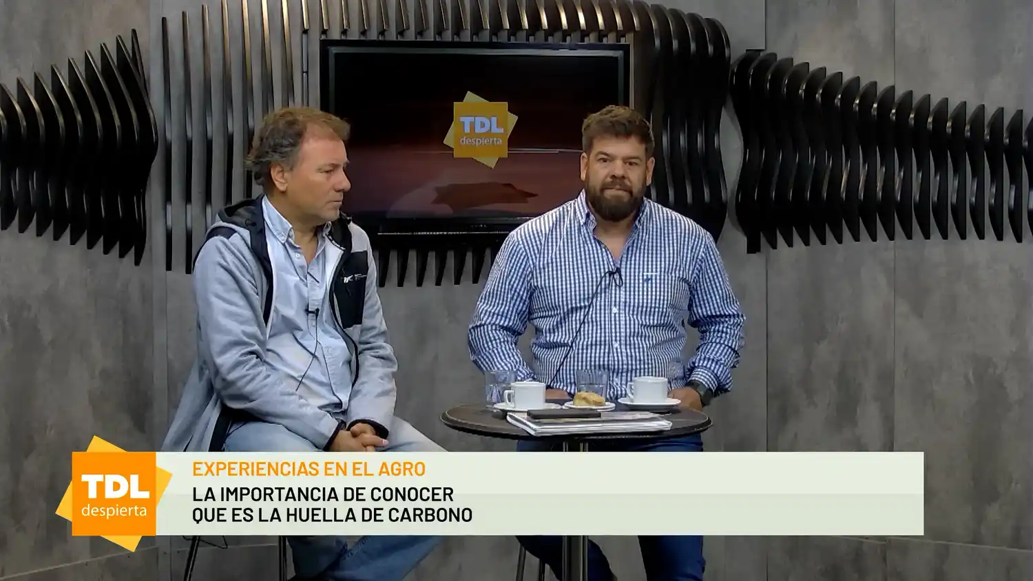 La importancia de conocer qué es la huella de carbono– Tandil Despierta