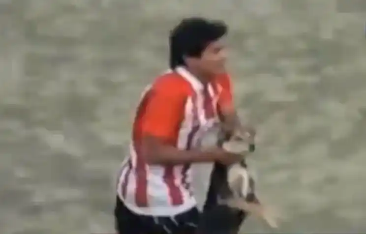 El club echó al futbolista de Tucumán que maltrató al perro