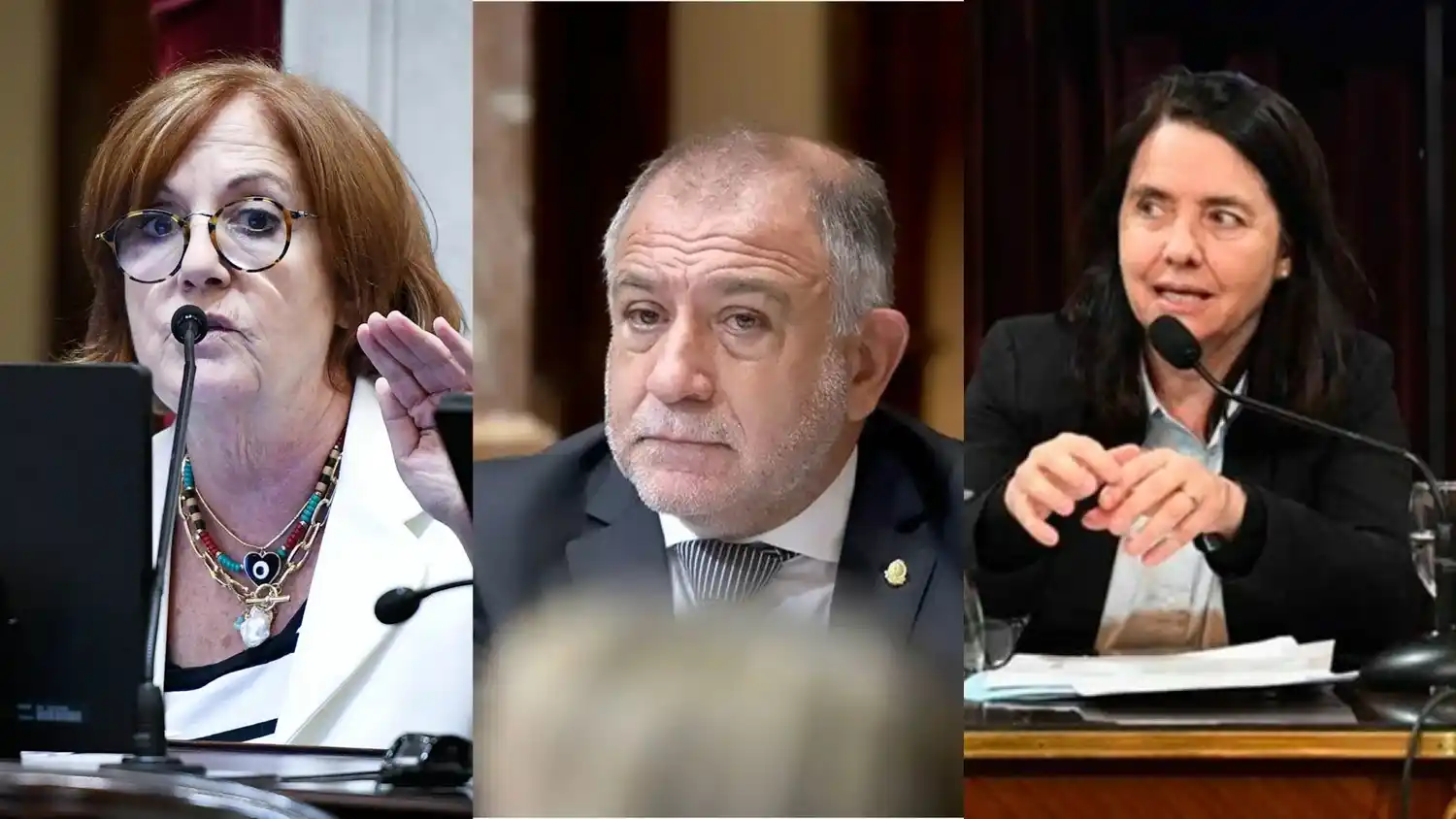 Alejandra Vigo, Luis Juez y Carmen Álvarez Rivero.