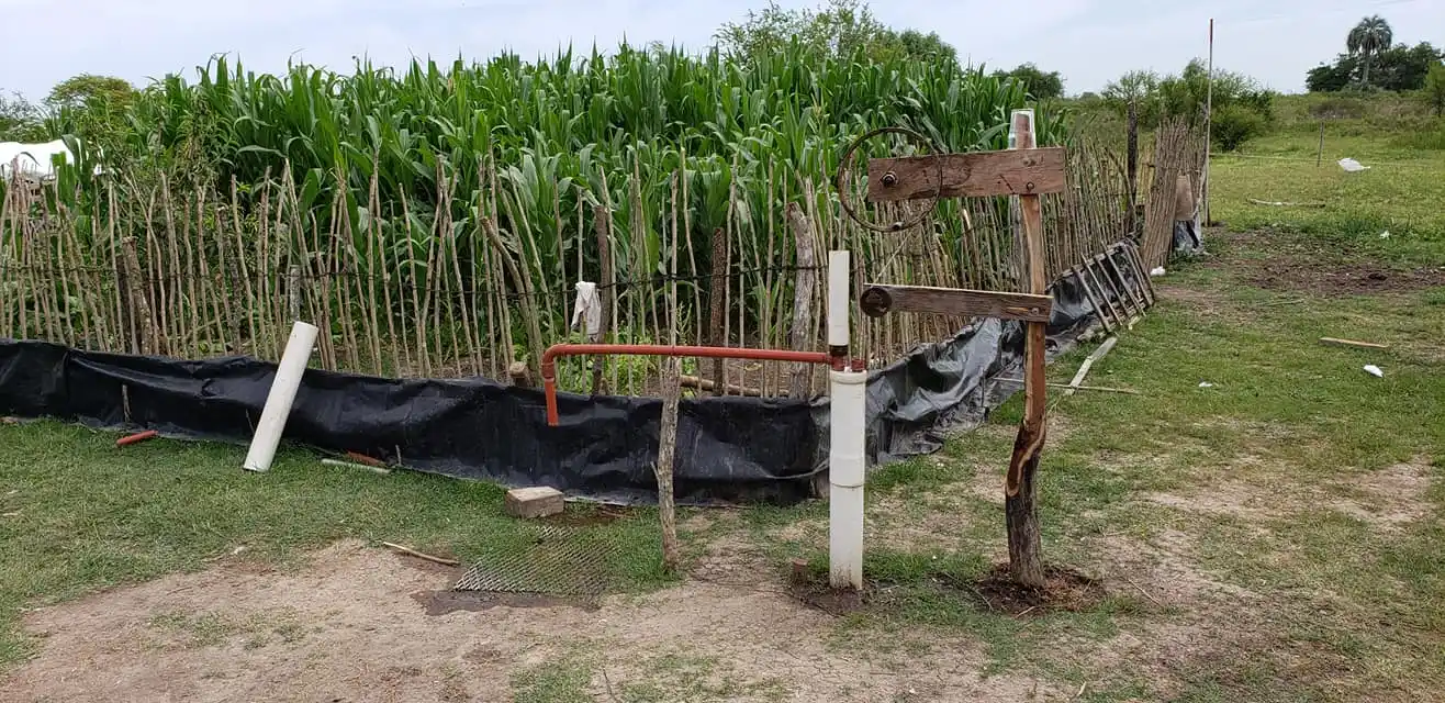 El esfuerzo, ingenio y tesón de un preadolescente que quiere ser ingeniero agrónomo