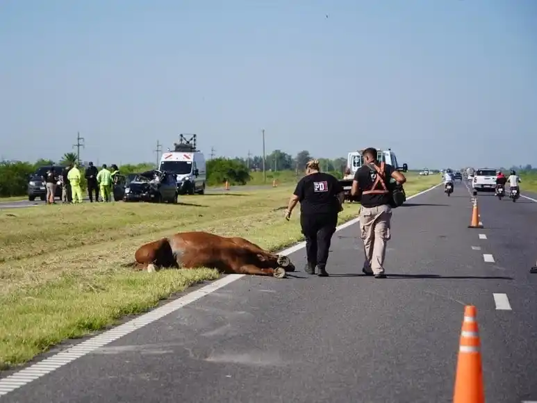 accidente autopista - 1