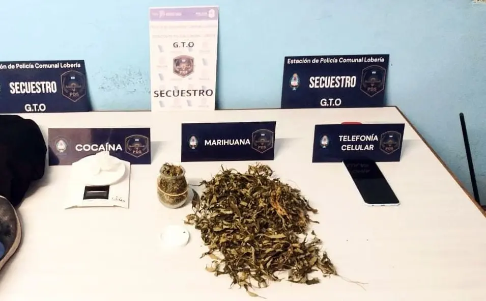 Estupefacientes. Que estaban escondidos, pertenecerían al acusado de los hechos