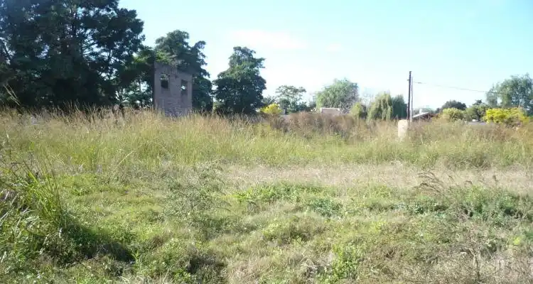 Quejas por terrenos abandonados