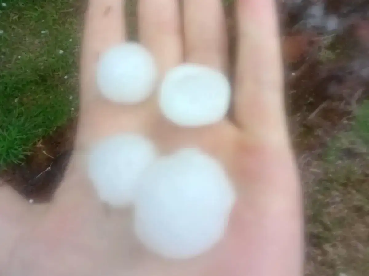 La tormenta dejó granizo, lluvia y ráfagas de casi 75 km/h en Rafaela - 6