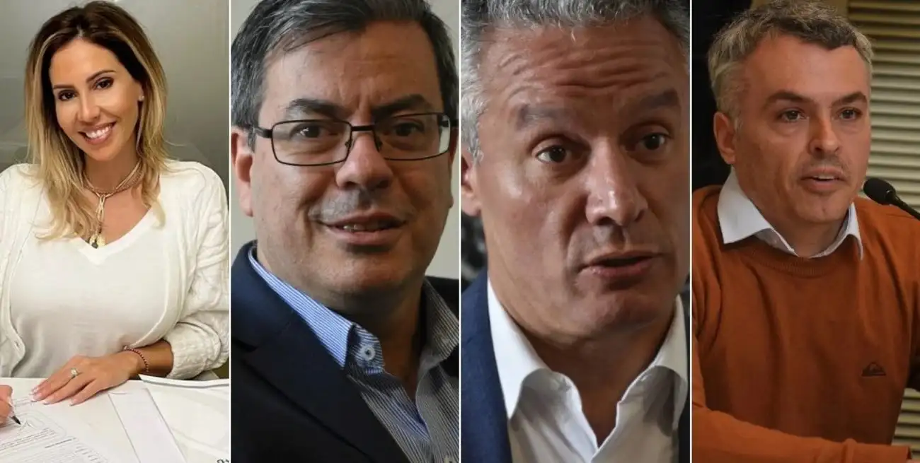Romina Diez (La Libertad Avanza), José Nuñez (Juntos por el Cambio), Germán Martínez (Unión por la Patria) y Esteban Paulón ( Hacemos por Nuestro País).