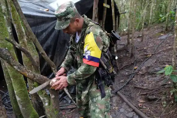 «DADOS DE BAJA»: al menos 5 disidentes de las FARC