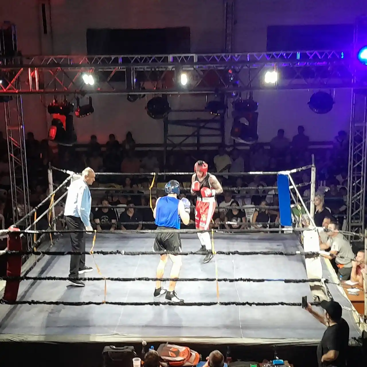 Boxeo Puños de Oro - 2