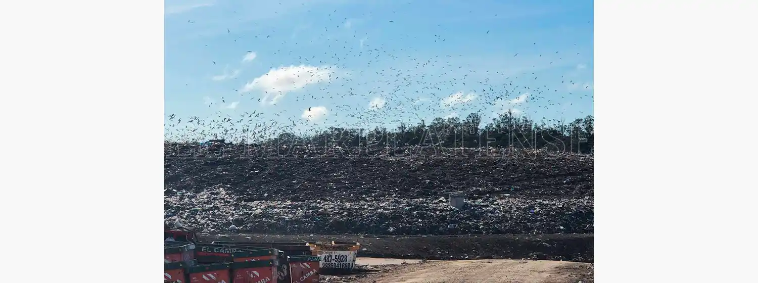 Recorrida por el basural: "El predio está con una capacidad limitada"