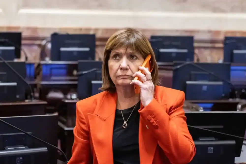 Patricia Bullrich se despegó de Milei y no votará el retiro del pliego de la jueza Michelli