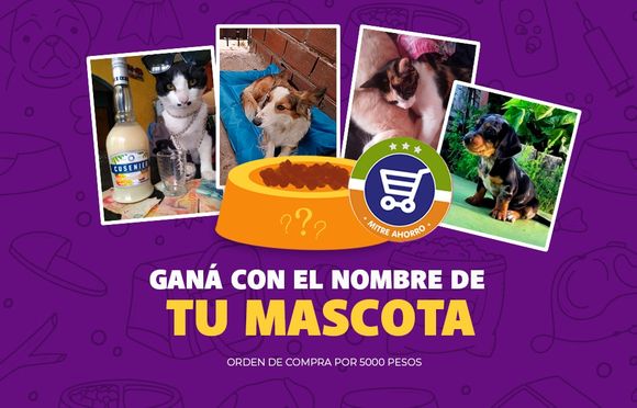 Mascotas: más de 1100 participantes en el concurso de nombres y fotos