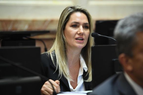Losada, sobre el proyecto de ley para endurecer los castigos por falsas denuncias: "Las penas eran irrisorias"