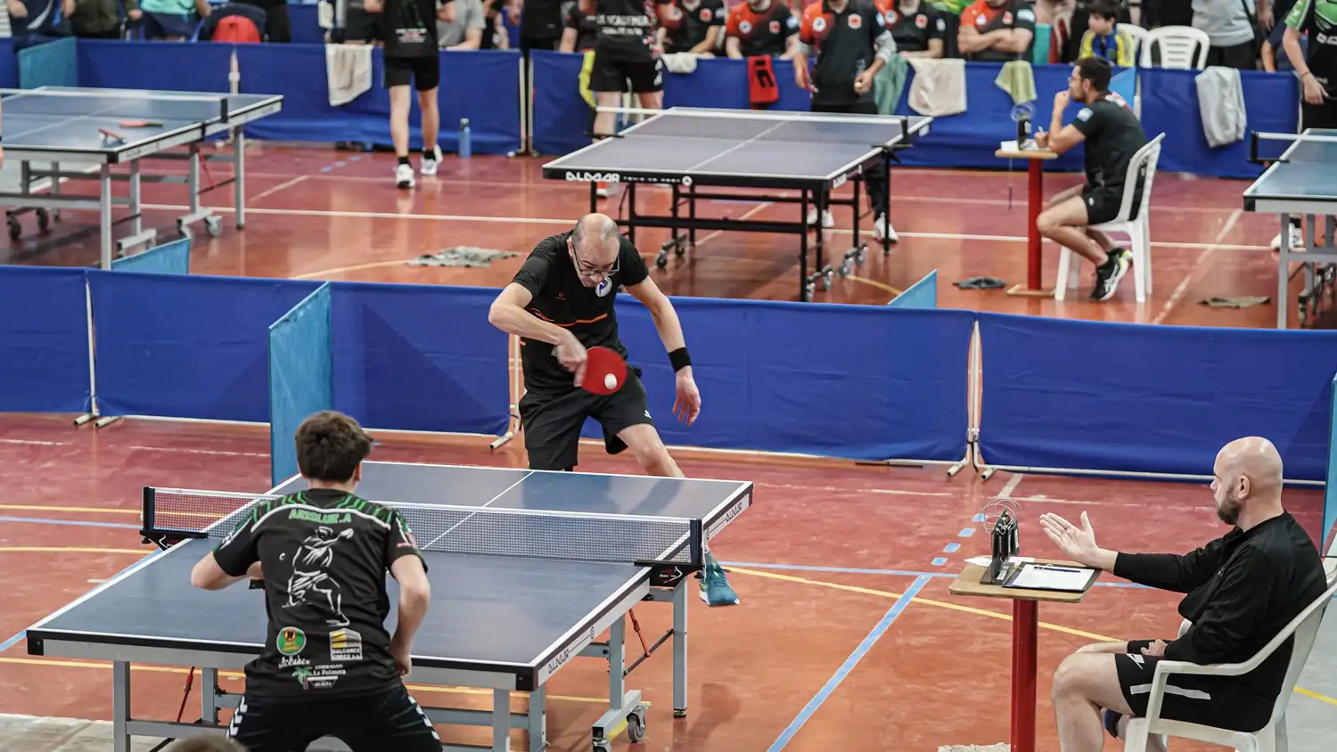 Tenis de mesa 8