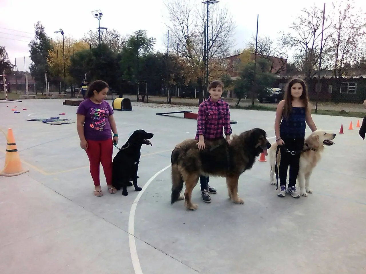 Zooterapia en Ituzaingó: 230 pacientes reciben asistencia terapéutica con animales