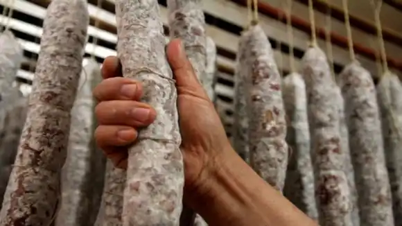 Alerta por triquinosis en la Provincia de Buenos Aires: confirman 40 casos y hay 38 más bajo estudio