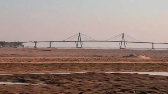 La gran bajante del río Paraná altera los ecosistemas fluviales