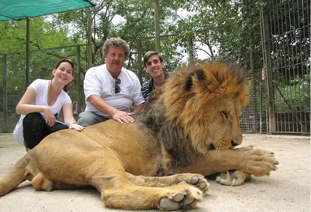 Zoológico de Luján: Piden su inhabilitación por el estado de los animales e "irregularidades"