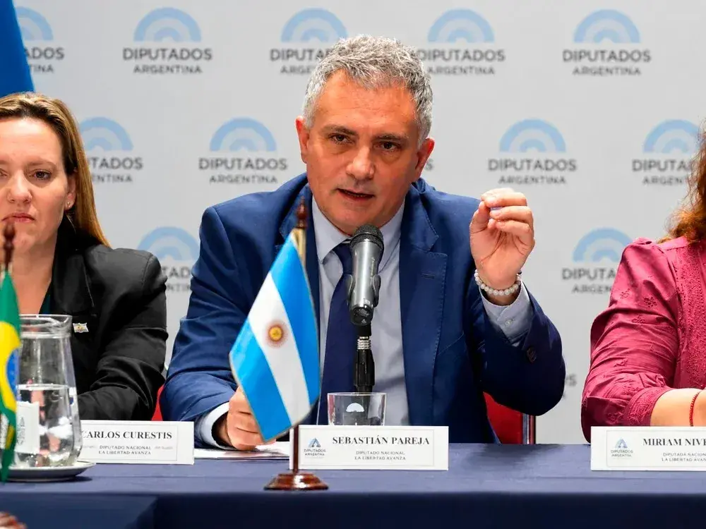 El diputado nacional Sebastián Pareja.