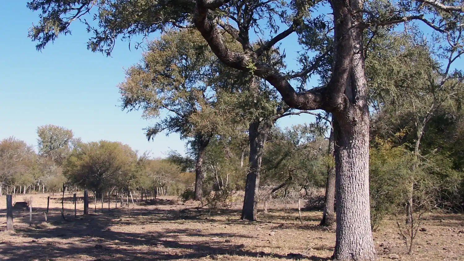 Asisten a productores interesados en el aprovechamiento sustentable de bosques nativos