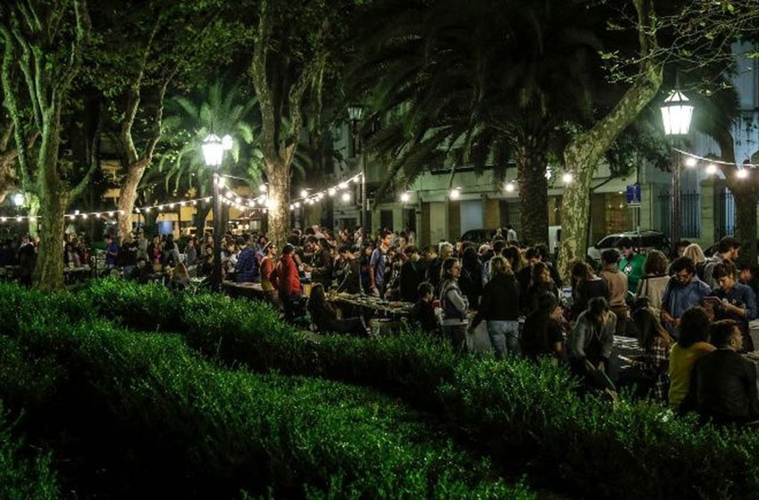 Noche de libros para combatir la humedad