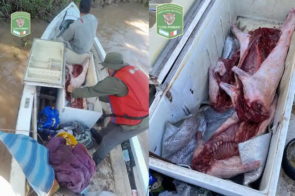 Decomisaron peces y carpinchos