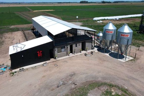 ¿Cómo es el tambo robotizado cien por ciento sustentable que se inauguró en Tandil?