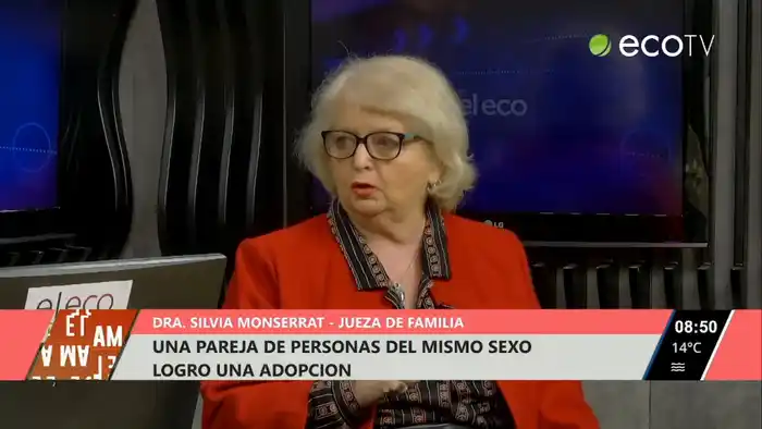 Una pareja del mismo sexo logró una adopción