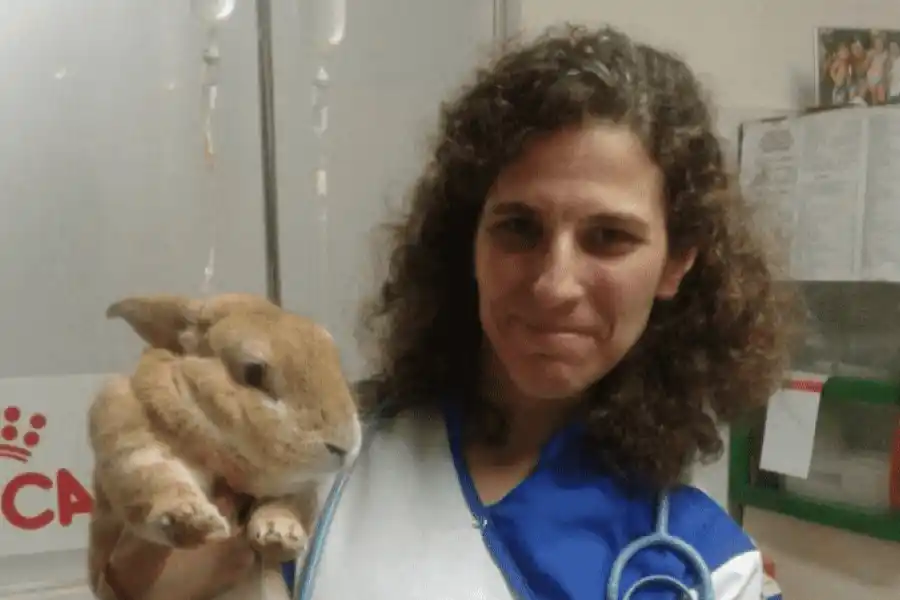 La mujer fallecida en un vuelo que venía a Argentina, era docente de la UNR