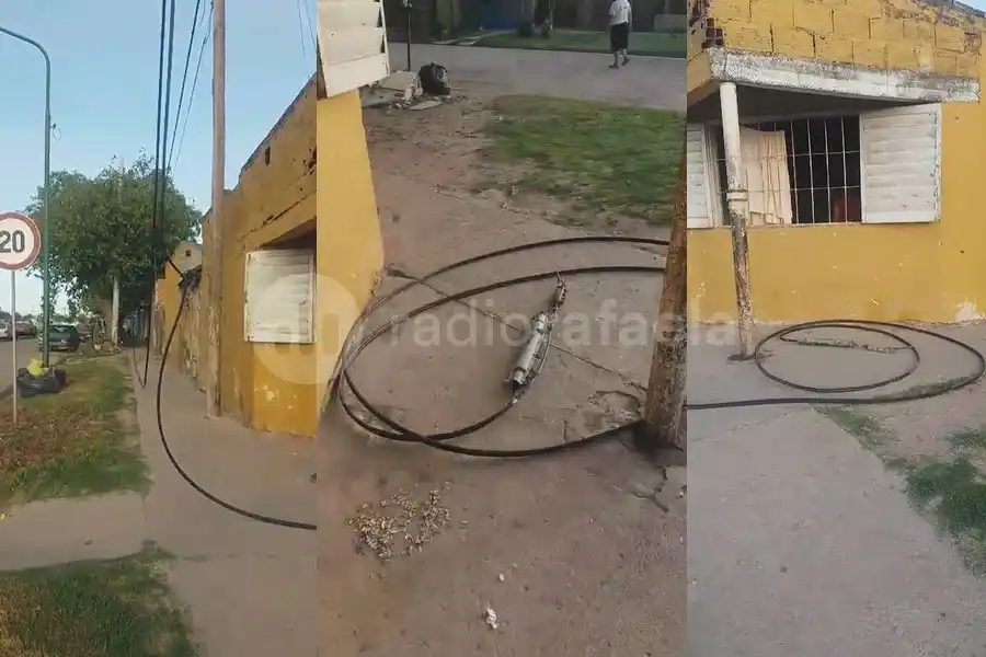 A los machetazos, una vecina corrió a ladrones que estaban en un árbol robando cables