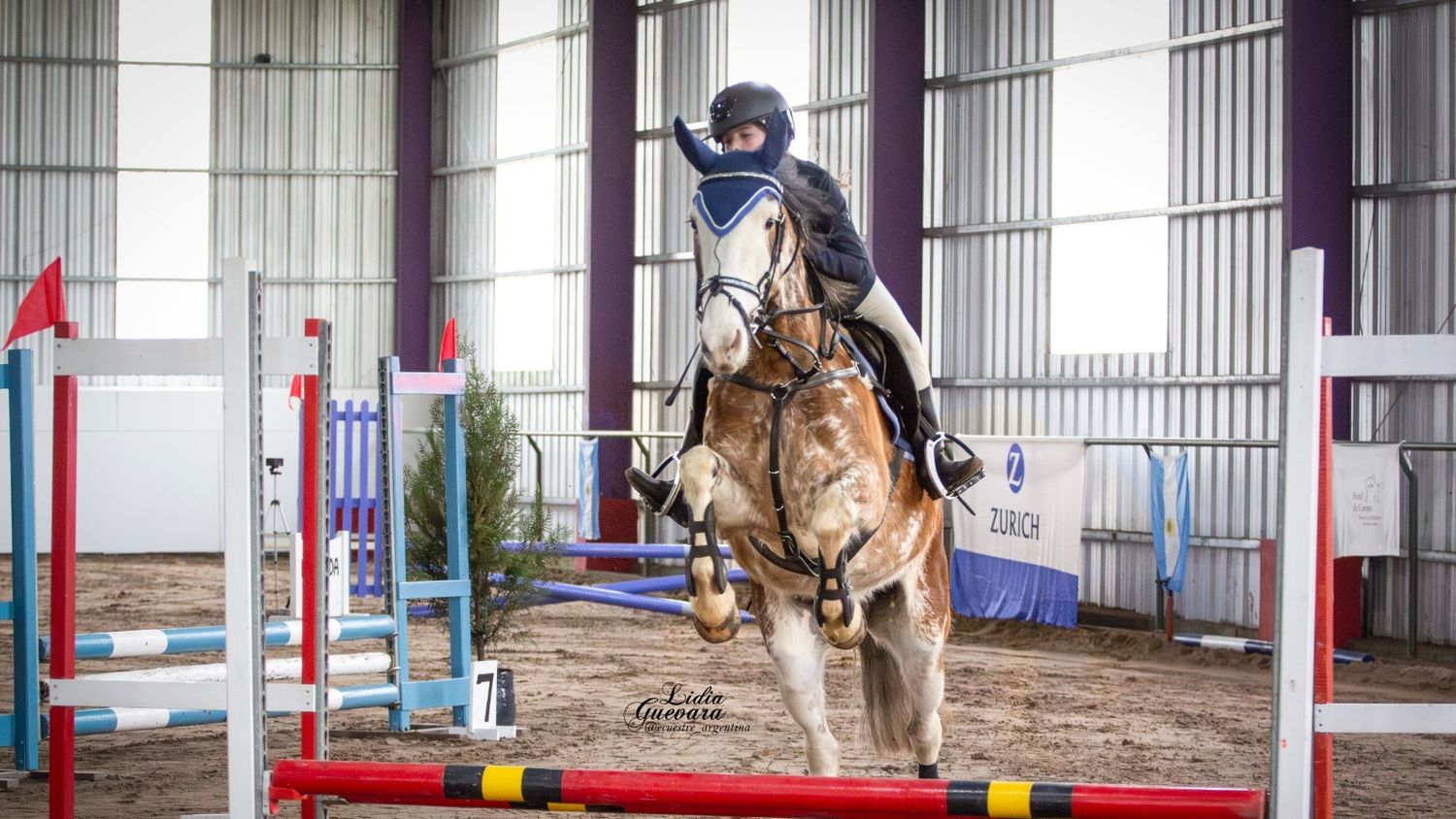 Todo listo para una nueva fecha del circuito de salto hípico en Los Abuelos