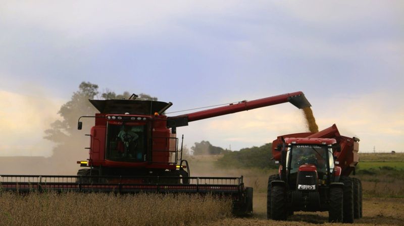 La Federación Agraria de Entre Ríos advierte que volver a las retenciones implicaría la quiebra de muchos productores