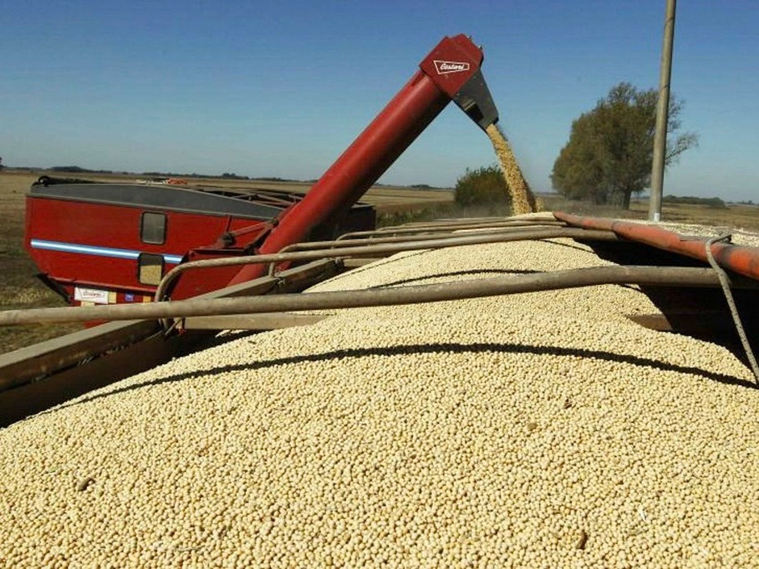 Se complica el default de una empresa del agro y ya perjudica a grandes bancos