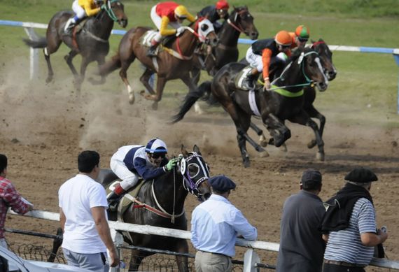 Tras la muerte de un caballo en plena carrera, activistas expresaron su repudio