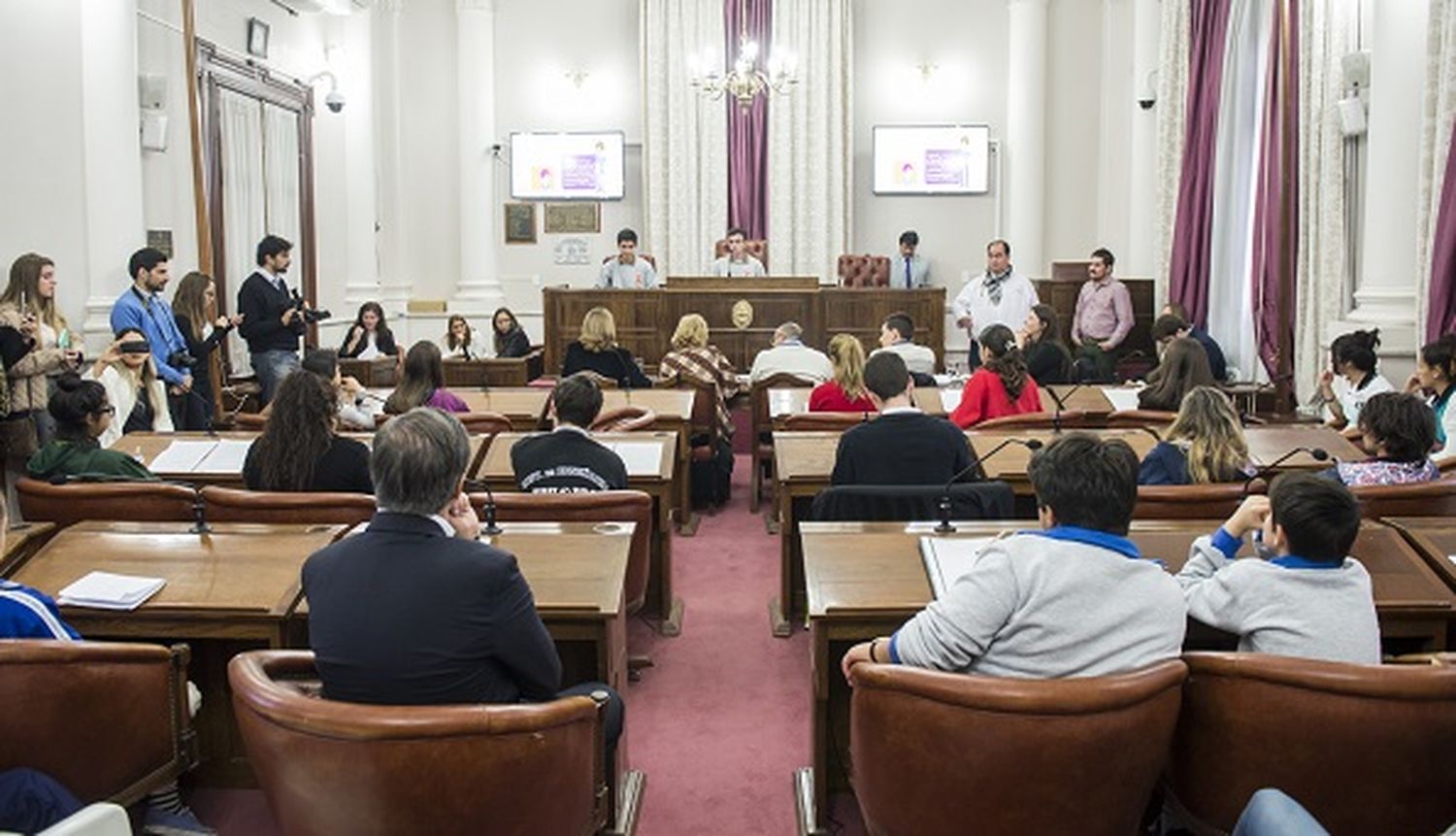 Comienzan las instancias provinciales del Senado Juvenil