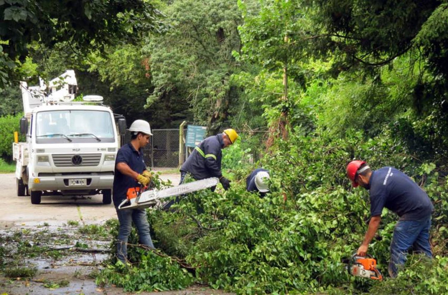 Piden al Emsur realizar trabajos con "urgencia" en barrios forestales