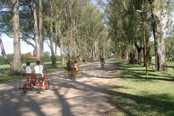 Comenzaron las vacaciones de invierno y la ciudad espera al turismo