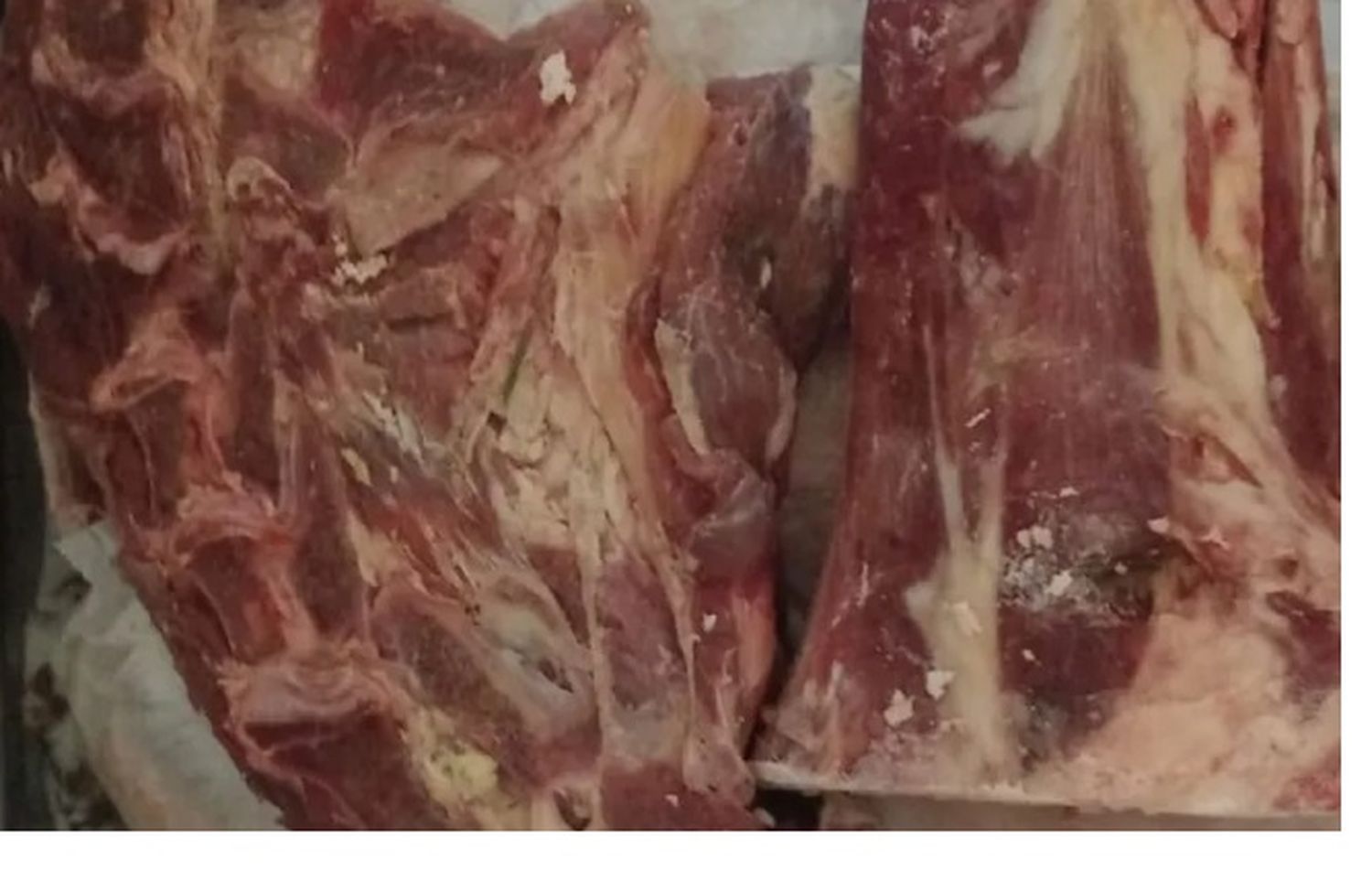 Entraron a robar a una carnicería, se llevaron el cambio de la caja y diez kilos de carne