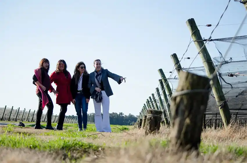 Vinos para disfrutar en esta cuarentena