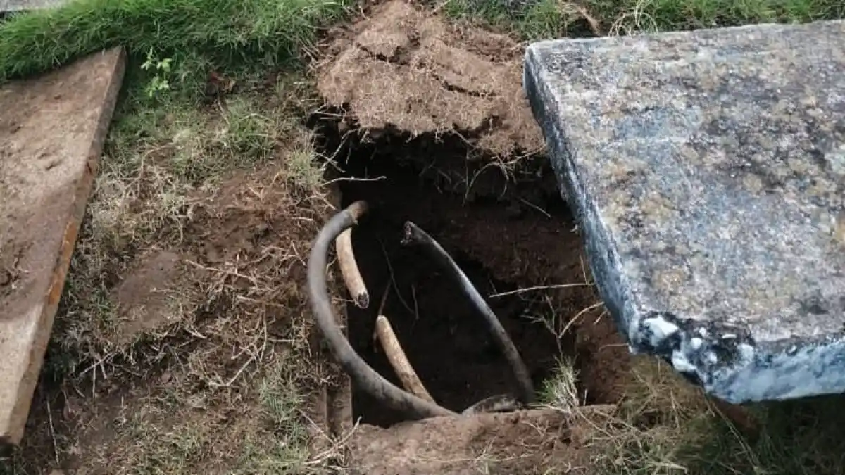 MALANDROS HACEN DE LAS SUYAS y dejan sin electricidad a escuela en San Cristóbal