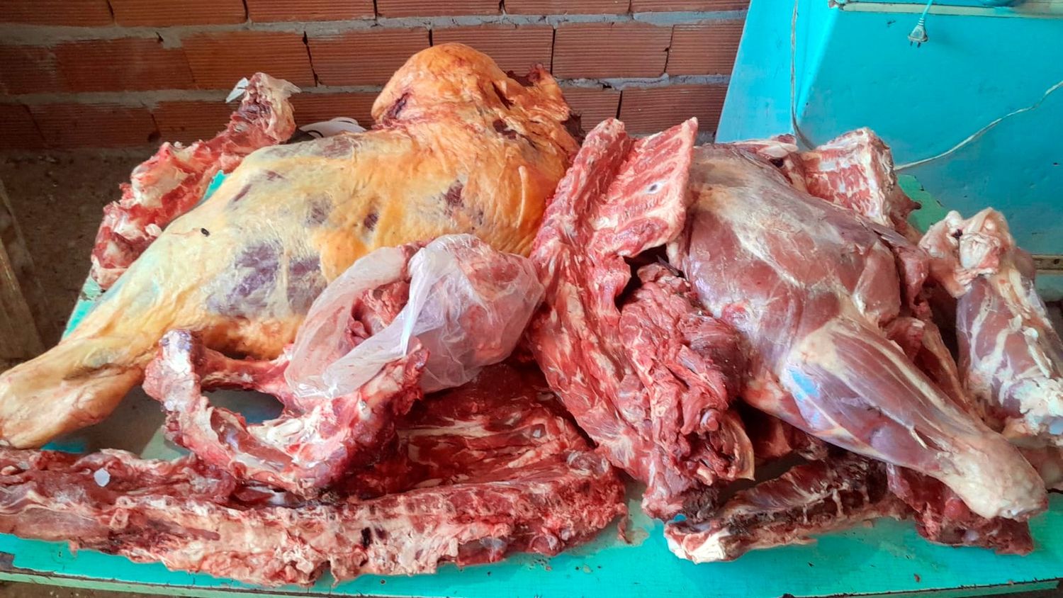 Allanaron un galpón en la Ruta 86: faena clandestina y carne de animales robados