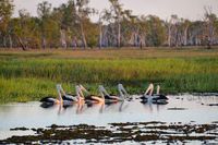 Día de los humedales: una legislación trunca que impide celebrar y deja la biodiversidad a la deriva