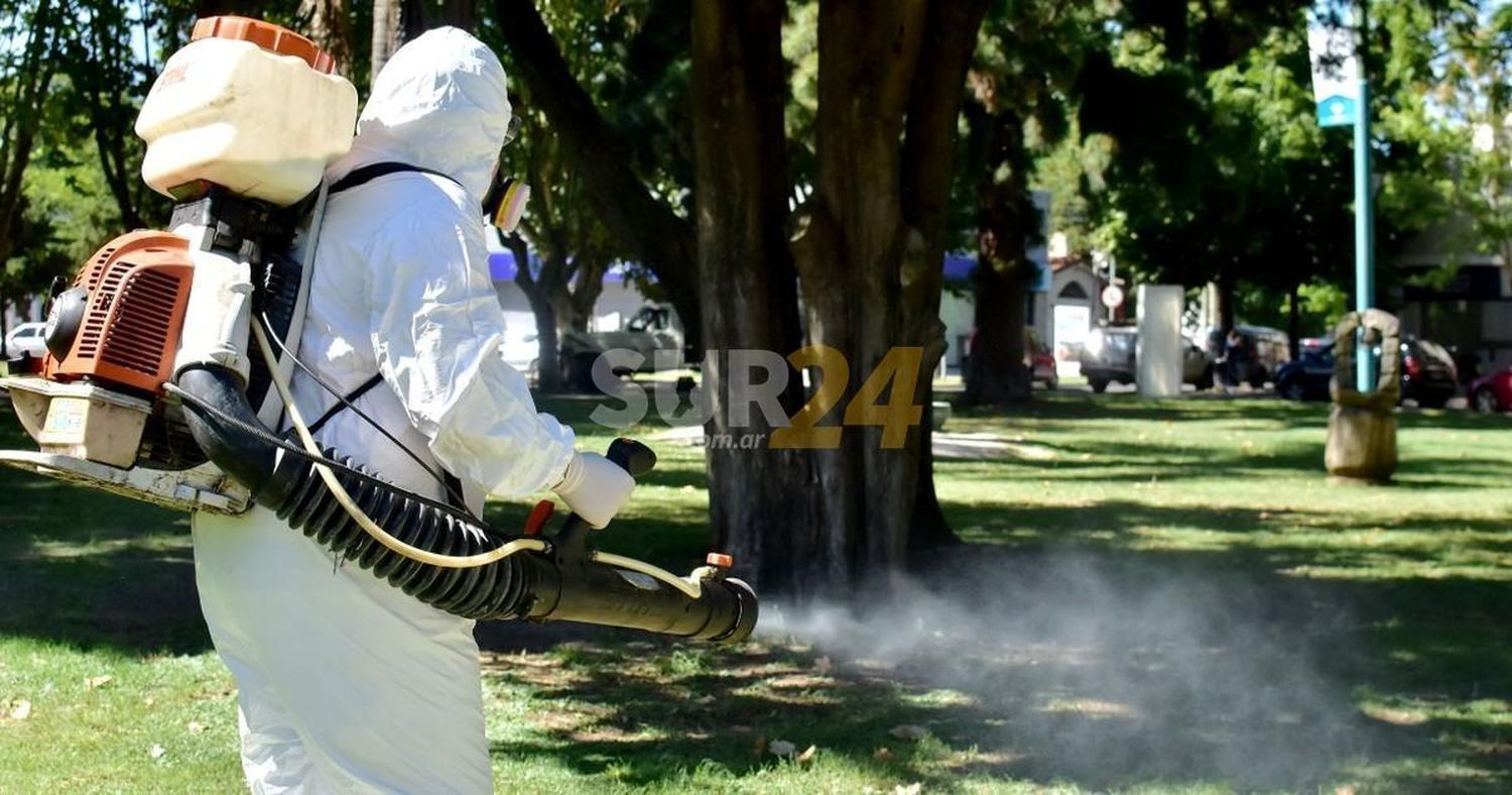 El gobierno municipal inicia la campaña de control de mosquitos y vector del dengue 