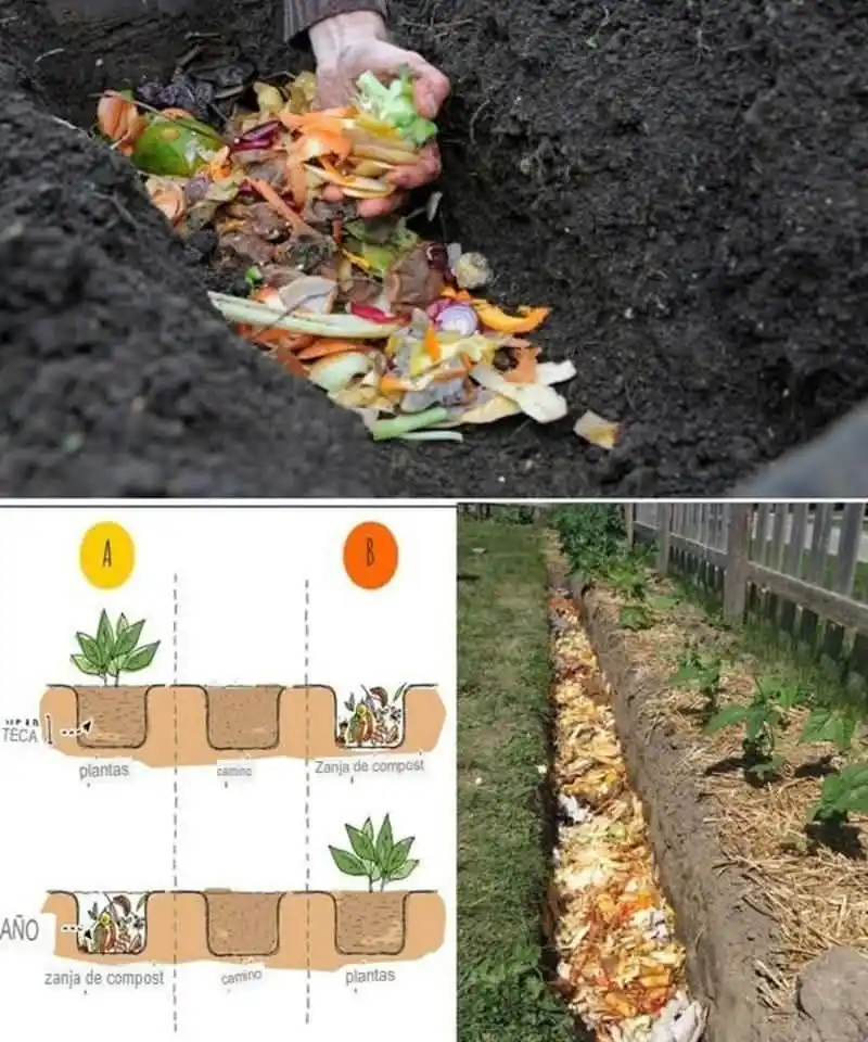 Compostaje en zanjas