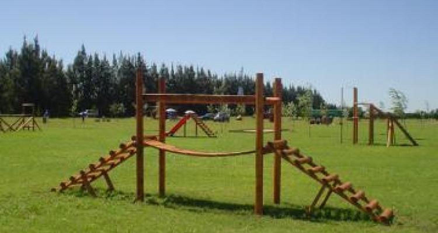 Diversión y juegos especiales en medio del campo