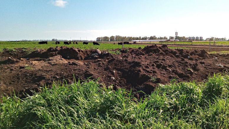 Qué muestra la radiografía ambiental de un establecimiento mixto bonaerense