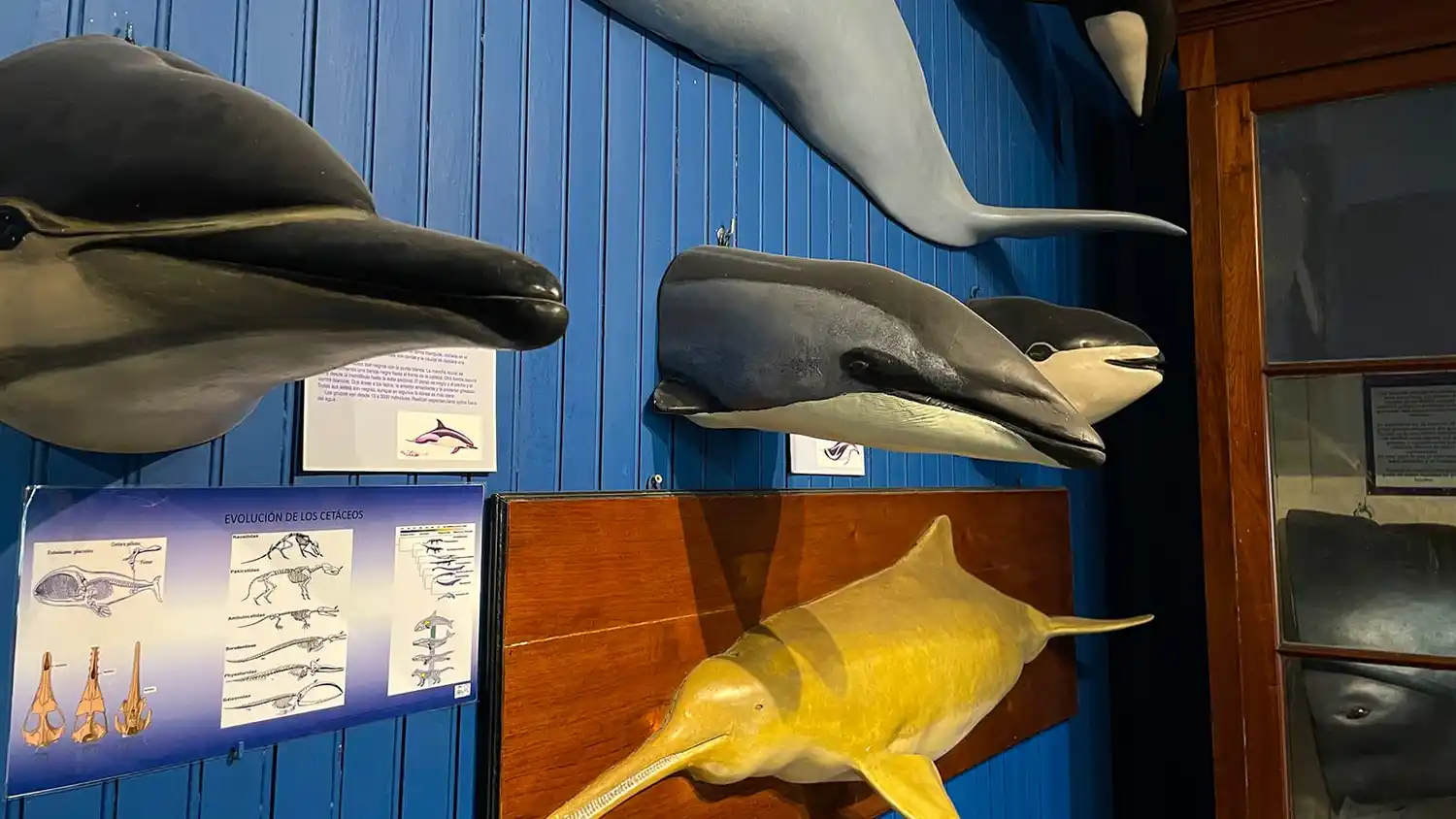 Estación Hidrobiológica de Puerto Quequén