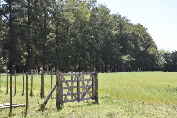 Provincia lanza asistencia económica para arrendatarios afectados por la sequía