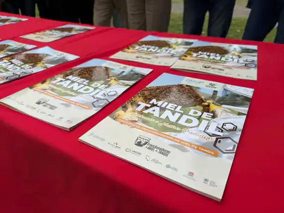 Llega a Tandil la primera Fiesta de la Miel: todos los detalles