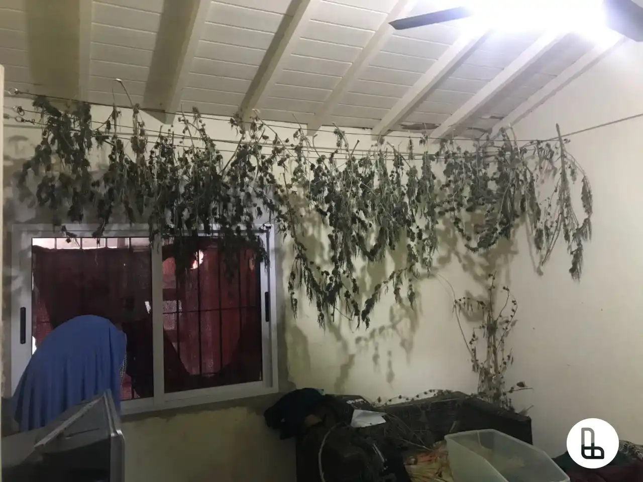 Lanús: Cuatro kilos y medio de marihuana incautados en allanamiento a búnker narco